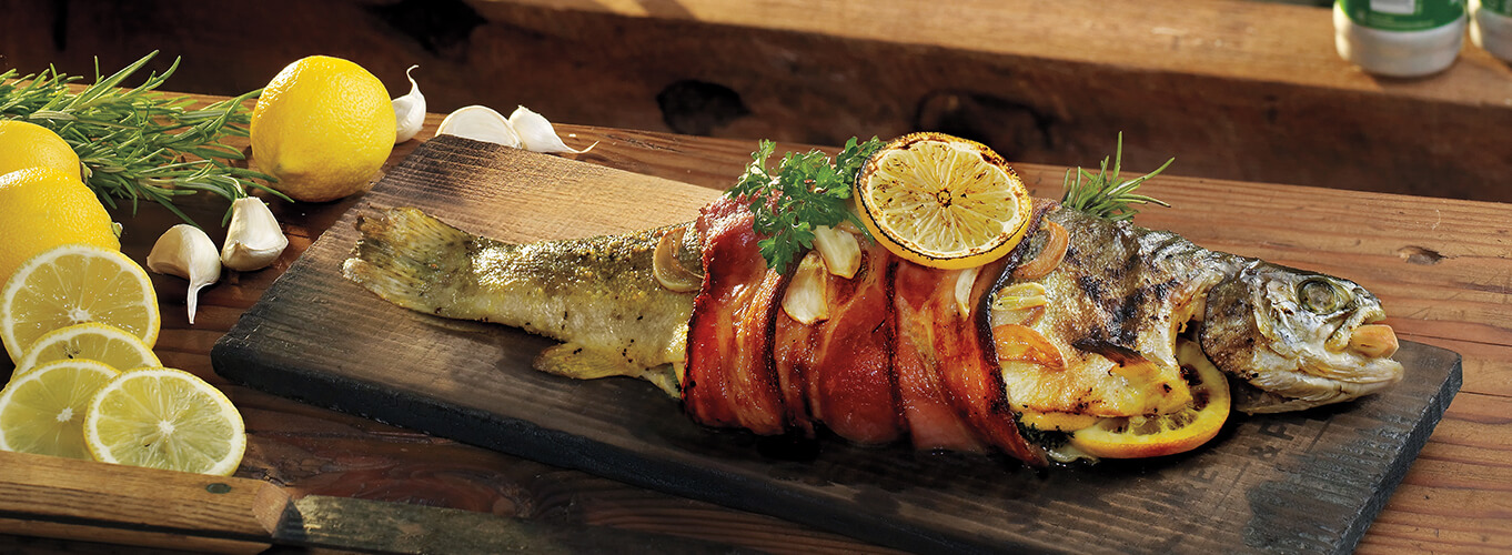 trout